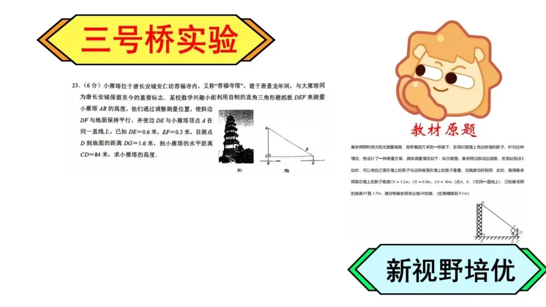 26初三月考真题VS新视野!-第57张图片-四季读书网 26初三月考真题VS新视野!-第57张图片-四季读书网