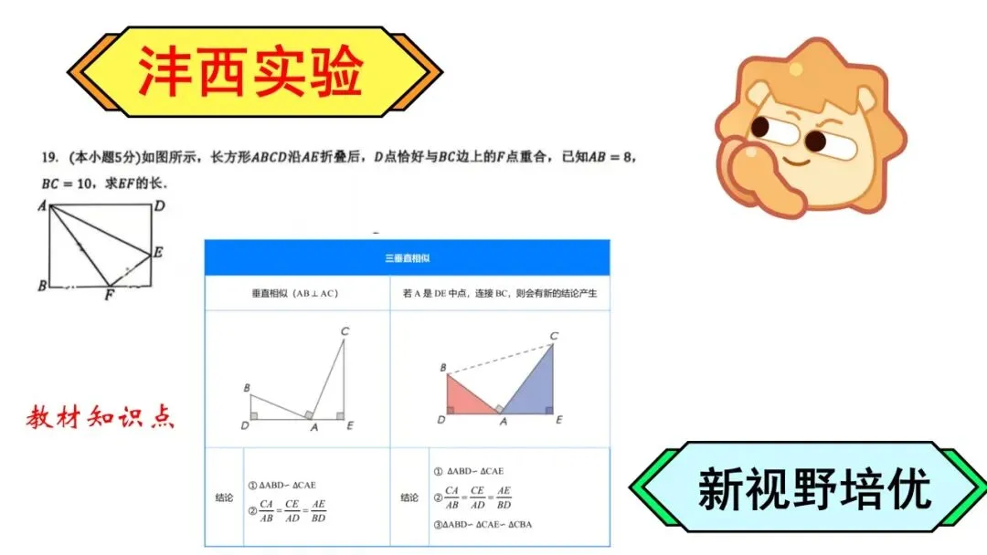 26初三月考真题VS新视野!-第63张图片-四季读书网 26初三月考真题VS新视野!-第63张图片-四季读书网