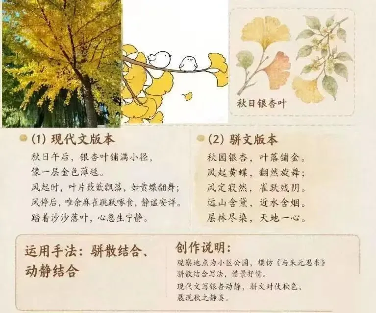 跟着古人学写景——初二年级写景手法仿写微练习·优秀成果展示-第19张图片-四季读书网 跟着古人学写景——初二年级写景手法仿写微练习·优秀成果展示-第19张图片-四季读书网