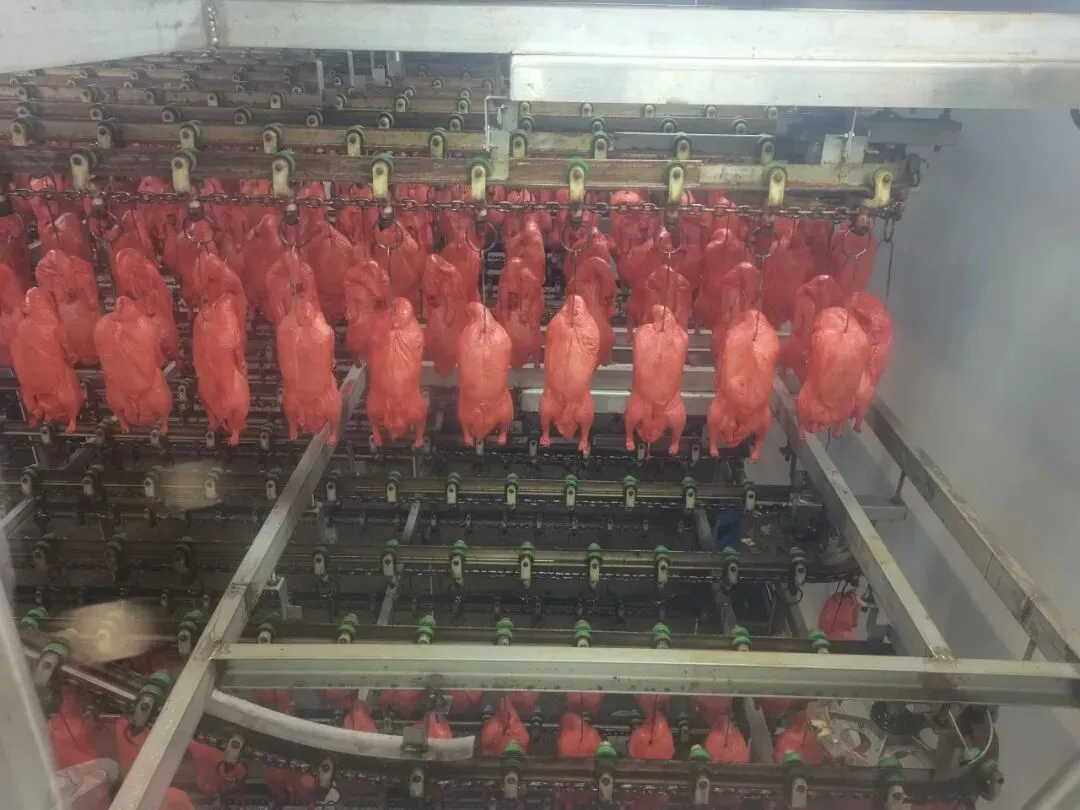 秋寻京味,行悟匠心 ——记初二年级御食园社会大课堂实践活动-第85张图片-四季读书网 秋寻京味,行悟匠心 ——记初二年级御食园社会大课堂实践活动-第85张图片-四季读书网