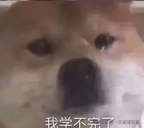 北交威历年期中期末真题试卷来啦!-第1张图片-四季读书网