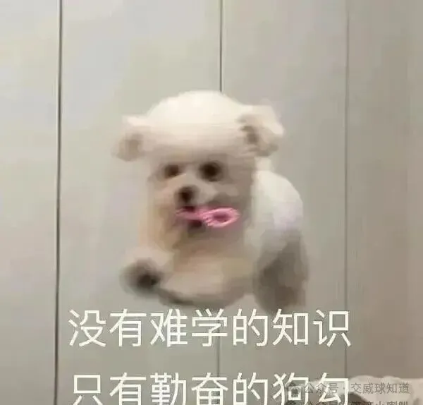 北交威历年期中期末真题试卷来啦!-第2张图片-四季读书网