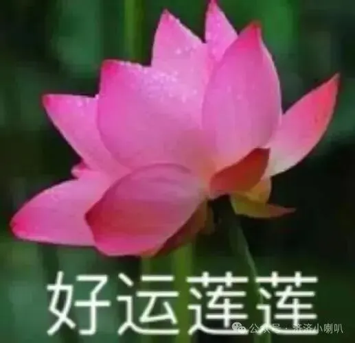 北交威历年期中期末真题试卷来啦!-第14张图片-四季读书网