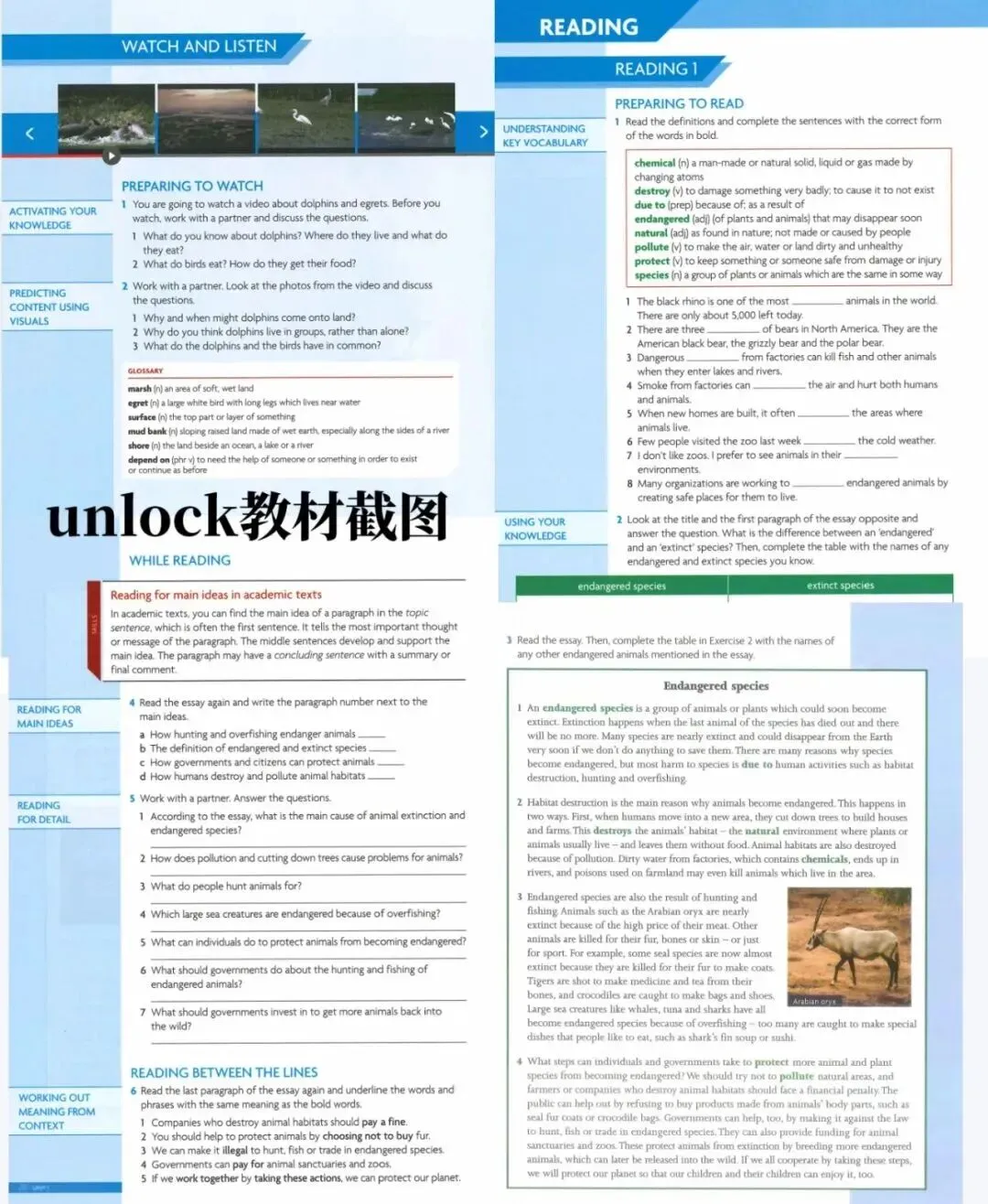 黄浦初中生注意!新中考英语阅读难度直逼高考,Unlock秋季班用“原版学术路线”降维打击!-第6张图片-四季读书网