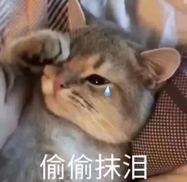注意!广东这3校,退出春季高考招生!-第2张图片-四季读书网