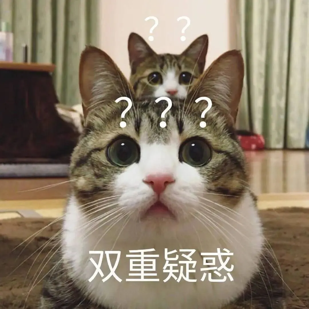 初一走班不是“一锤定音”?!搞懂动态调层规则,期末照样冲进A层-第7张图片-四季读书网 初一走班不是“一锤定音”?!搞懂动态调层规则,期末照样冲进A层-第7张图片-四季读书网