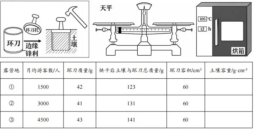 《历年高考真题官方解析》2026年高考地理:福建卷官方答案(可编辑,无水印)-第12张图片-四季读书网 《历年高考真题官方解析》2026年高考地理:福建卷官方答案(可编辑,无水印)-第12张图片-四季读书网