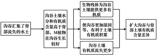 《历年高考真题官方解析》2026年高考地理:福建卷官方答案(可编辑,无水印)-第14张图片-四季读书网 《历年高考真题官方解析》2026年高考地理:福建卷官方答案(可编辑,无水印)-第14张图片-四季读书网