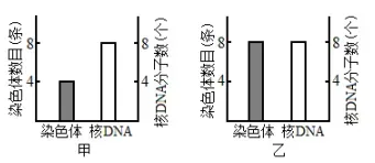 每日一练 | 高考生物专题训练突破!(54)-第5张图片-四季读书网