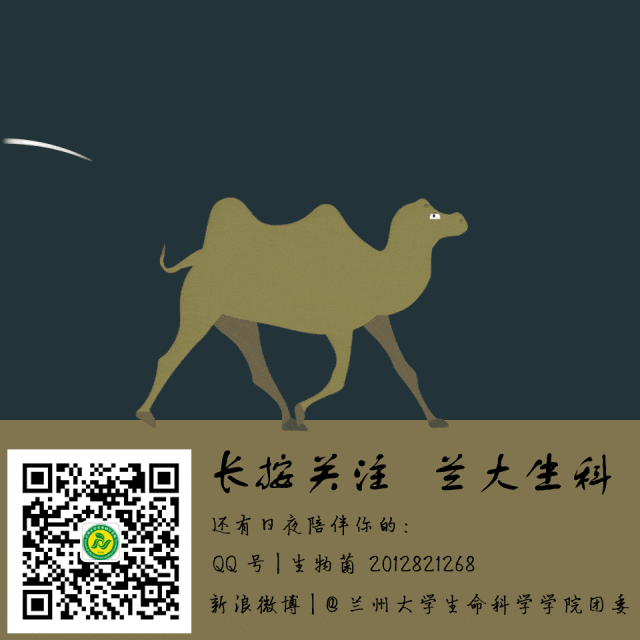 我为同学做实事 | 实战模考!甘肃定向选调笔试模拟及申论讲解活动来啦-第20张图片-四季读书网