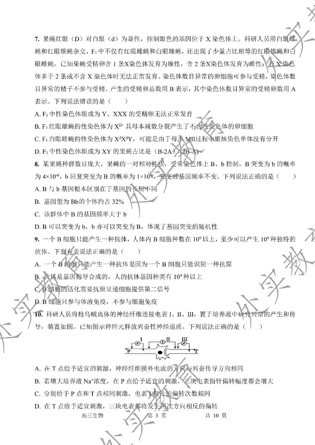 【月考真题】2026年高三月考真题合集-第25张图片-四季读书网 【月考真题】2026年高三月考真题合集-第25张图片-四季读书网