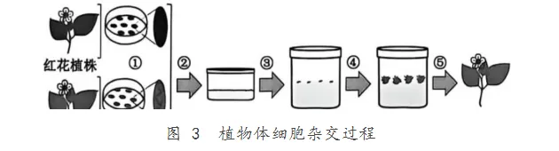 【完整版】2026江苏高考生物真题与答案-第3张图片-四季读书网 【完整版】2026江苏高考生物真题与答案-第3张图片-四季读书网