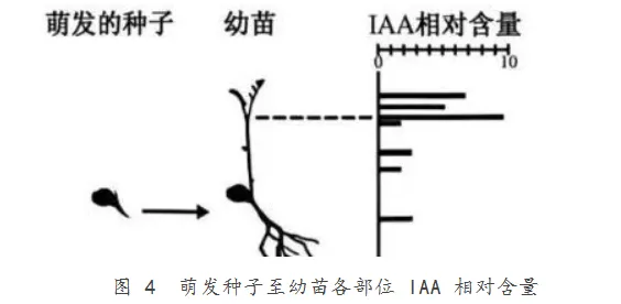 【完整版】2026江苏高考生物真题与答案-第4张图片-四季读书网