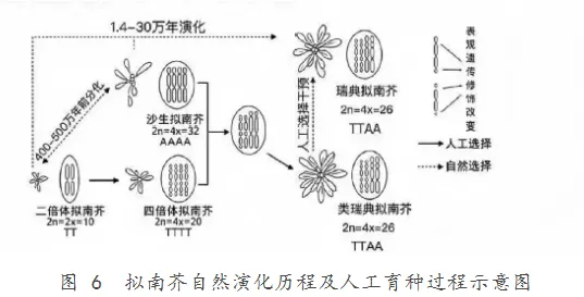 【完整版】2026江苏高考生物真题与答案-第6张图片-四季读书网 【完整版】2026江苏高考生物真题与答案-第6张图片-四季读书网