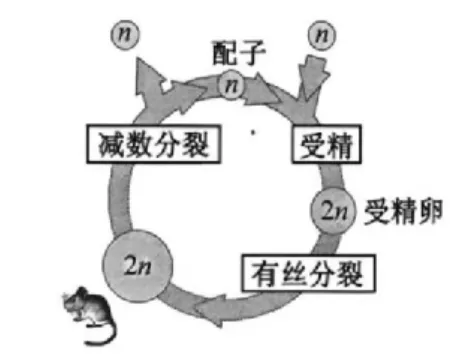 【完整版】2026江苏高考生物真题与答案-第8张图片-四季读书网 【完整版】2026江苏高考生物真题与答案-第8张图片-四季读书网
