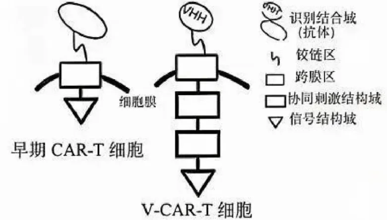 【完整版】2026江苏高考生物真题与答案-第10张图片-四季读书网 【完整版】2026江苏高考生物真题与答案-第10张图片-四季读书网