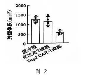 【完整版】2026江苏高考生物真题与答案-第11张图片-四季读书网 【完整版】2026江苏高考生物真题与答案-第11张图片-四季读书网