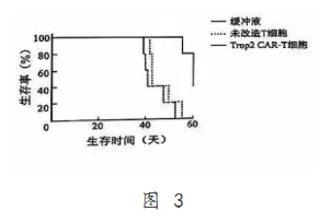 【完整版】2026江苏高考生物真题与答案-第12张图片-四季读书网 【完整版】2026江苏高考生物真题与答案-第12张图片-四季读书网