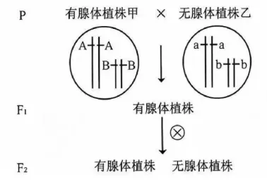 【完整版】2026江苏高考生物真题与答案-第16张图片-四季读书网 【完整版】2026江苏高考生物真题与答案-第16张图片-四季读书网