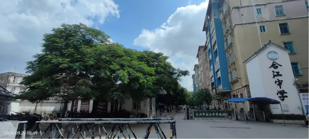 七十载弦歌 · 一段求学往事|我的高考梦-第3张图片-四季读书网 七十载弦歌 · 一段求学往事|我的高考梦-第3张图片-四季读书网