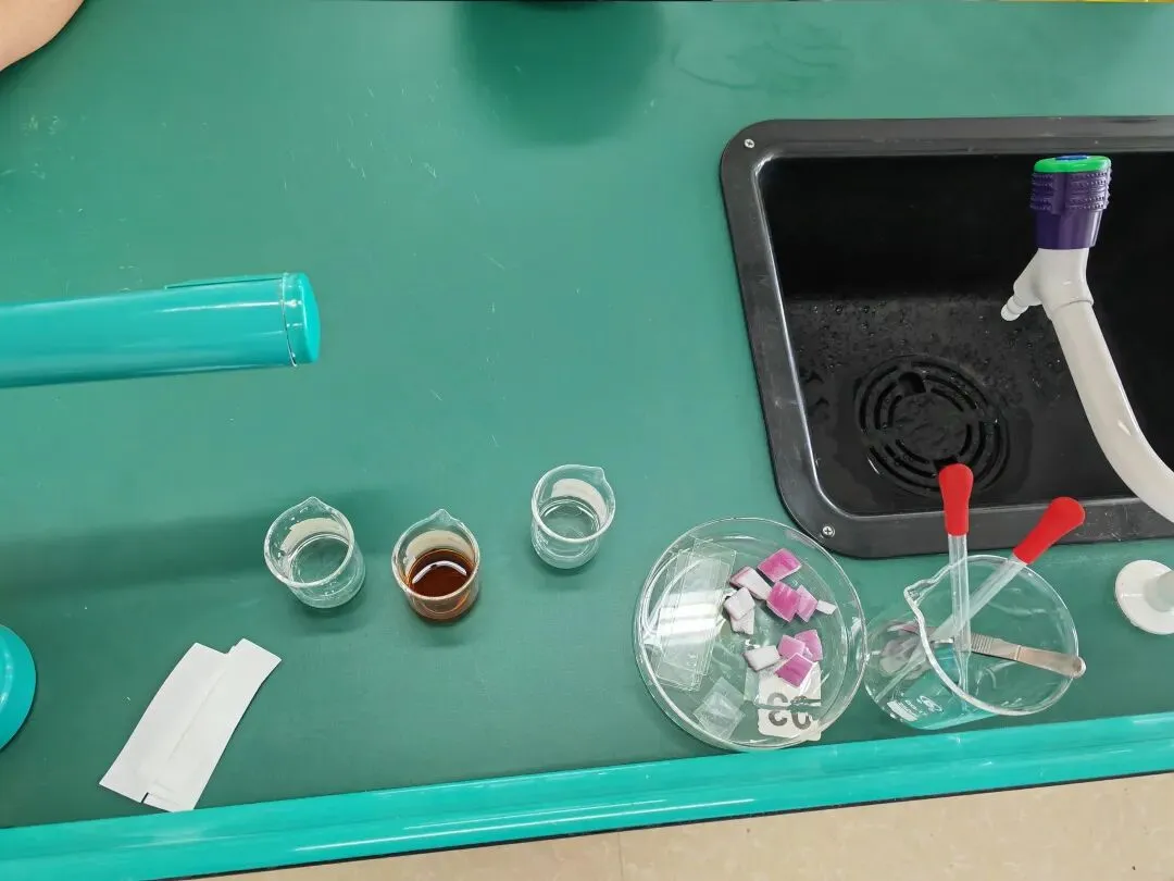 初一生物学第一次实验记录-第2张图片-四季读书网