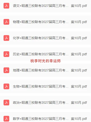 昭通三校联考2027届高三月考试卷及答案10月-第1张图片-四季读书网