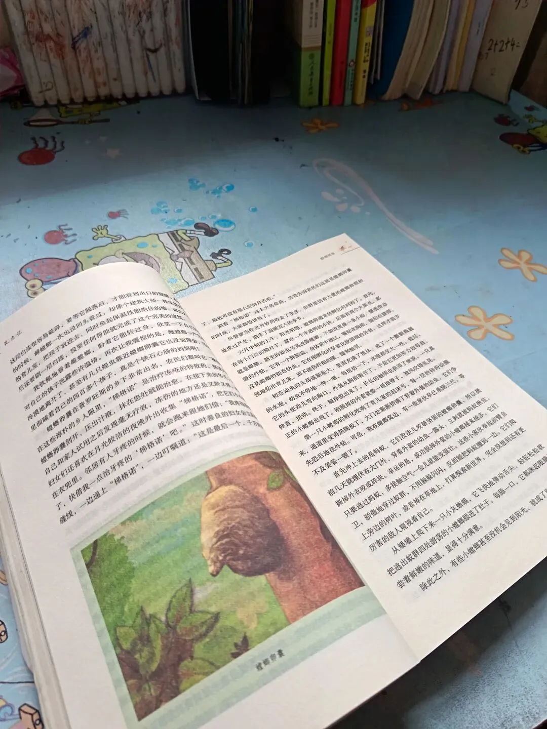 初二孩子突然“恨”我:我拼尽全力顾家,最后只剩满身疲惫-第1张图片-四季读书网