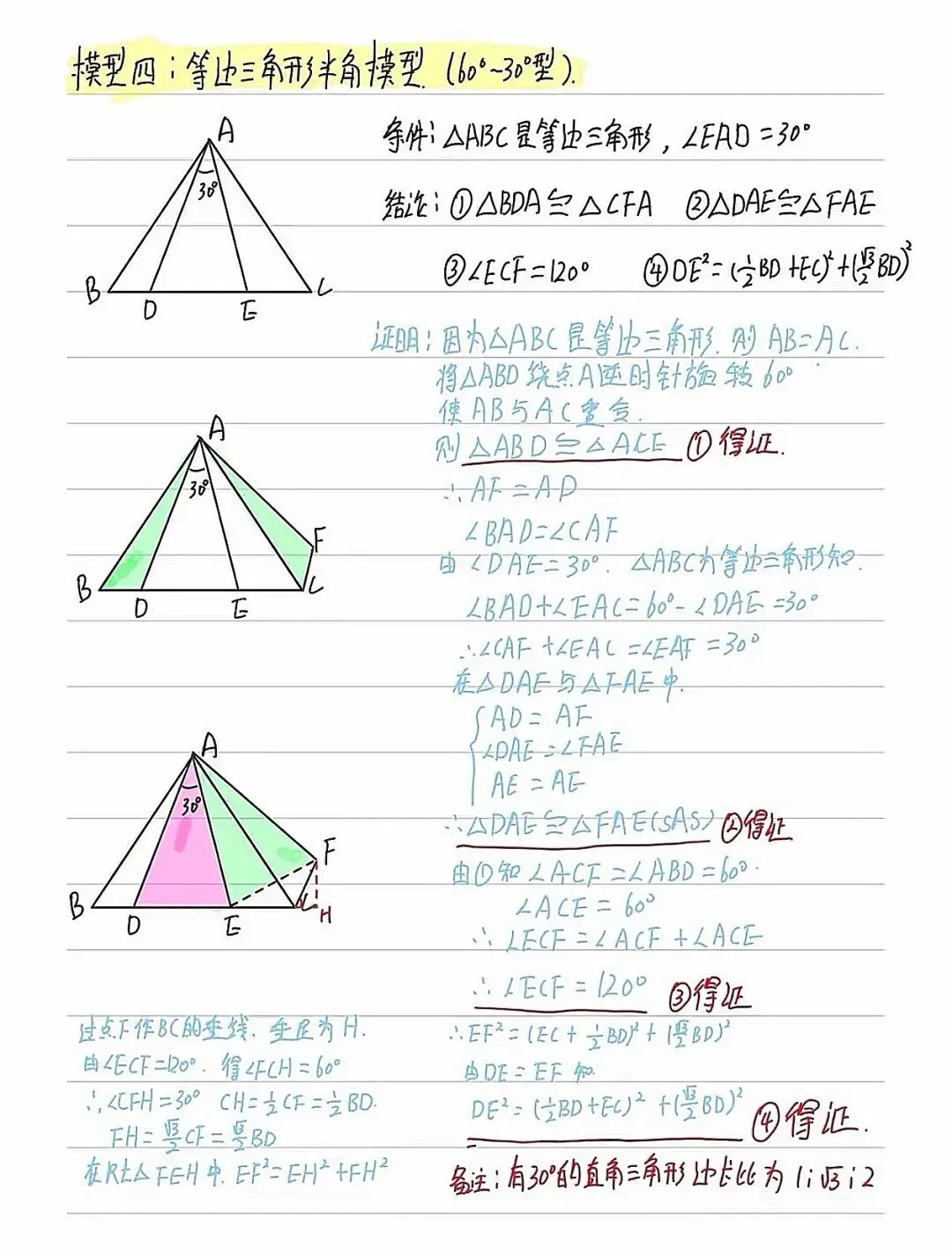 初二上数学——半角模型-第4张图片-四季读书网