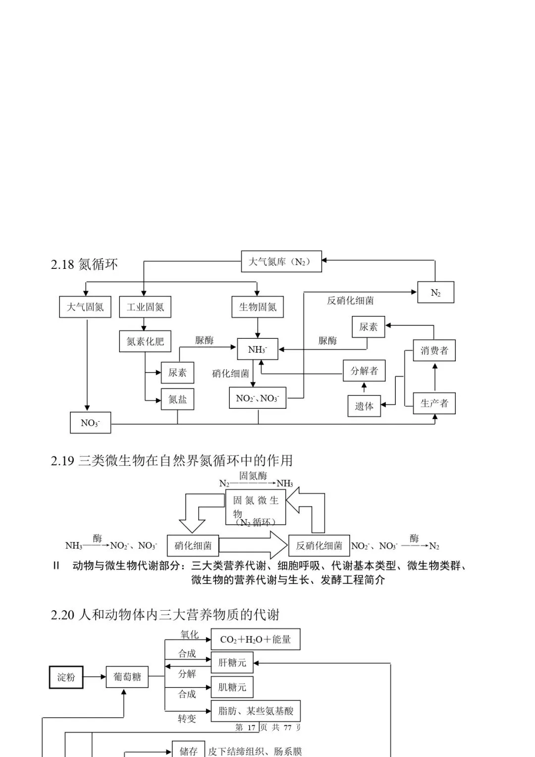 高考生物 | 知识点归纳汇总-第25张图片-四季读书网