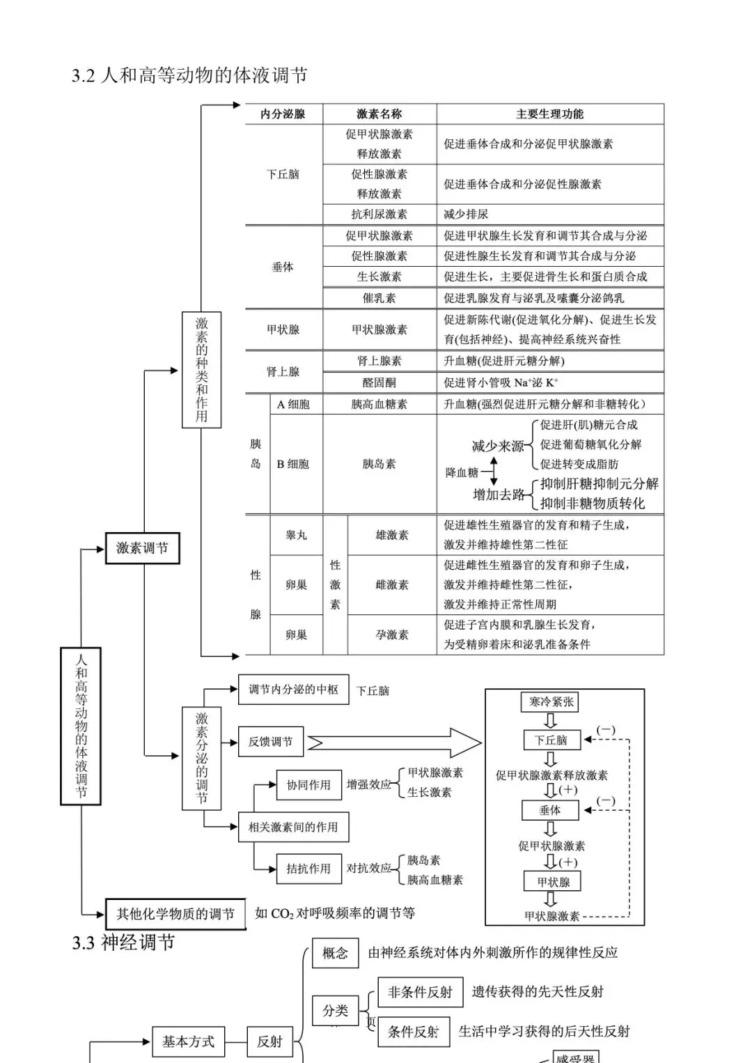 高考生物 | 知识点归纳汇总-第33张图片-四季读书网