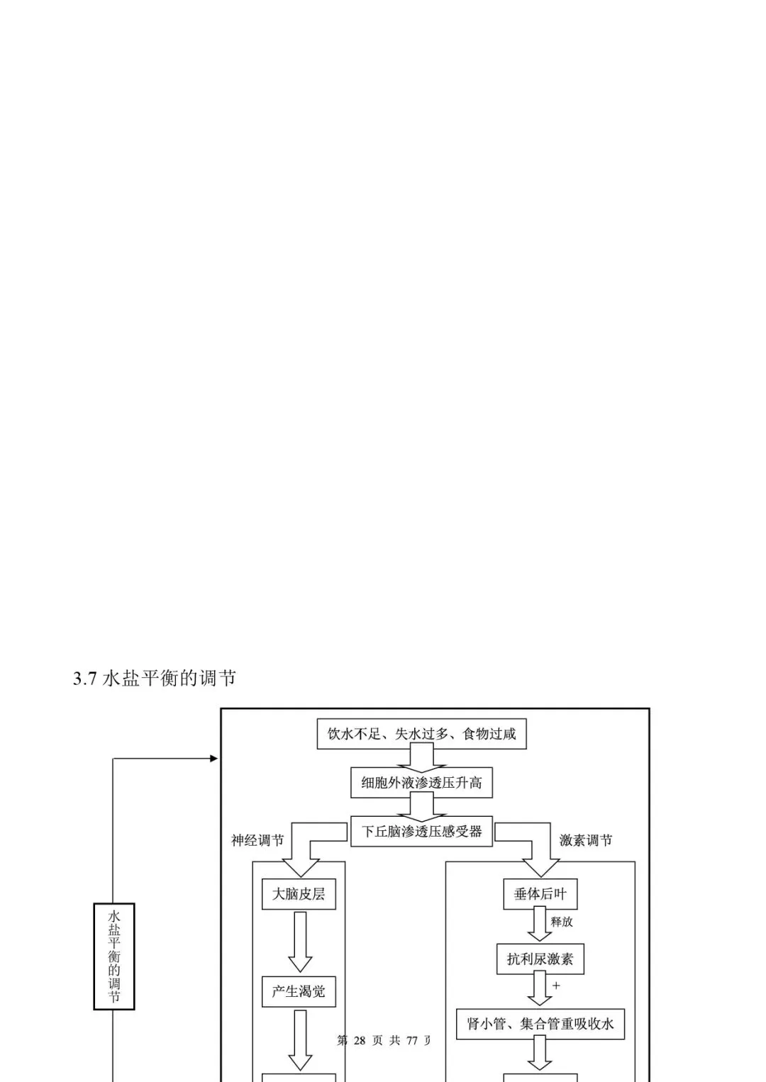 高考生物 | 知识点归纳汇总-第36张图片-四季读书网
