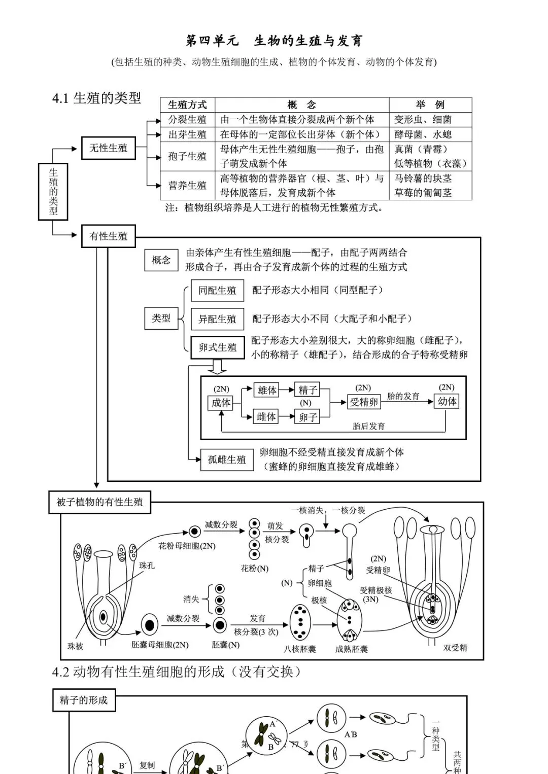 高考生物 | 知识点归纳汇总-第41张图片-四季读书网