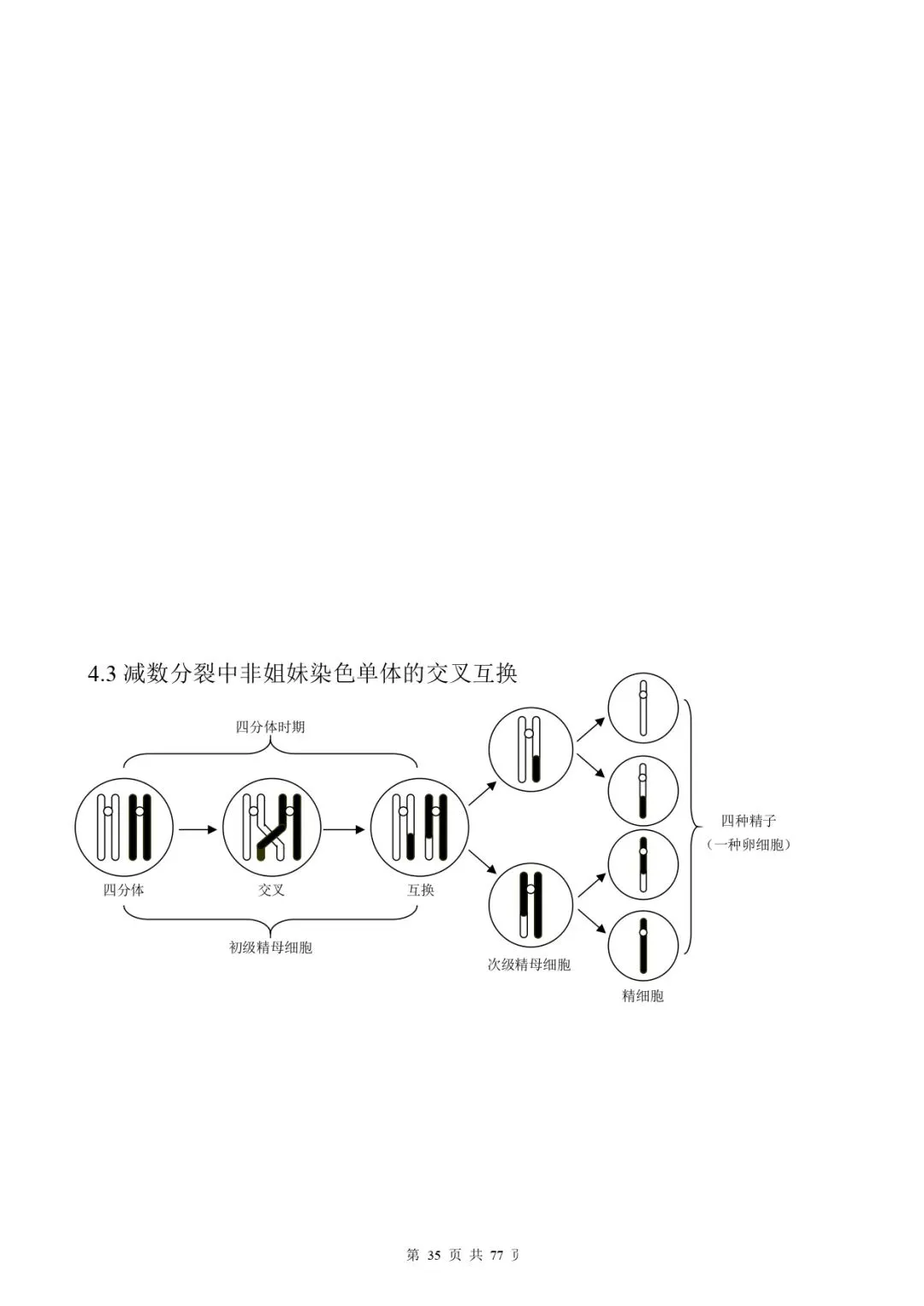 高考生物 | 知识点归纳汇总-第42张图片-四季读书网