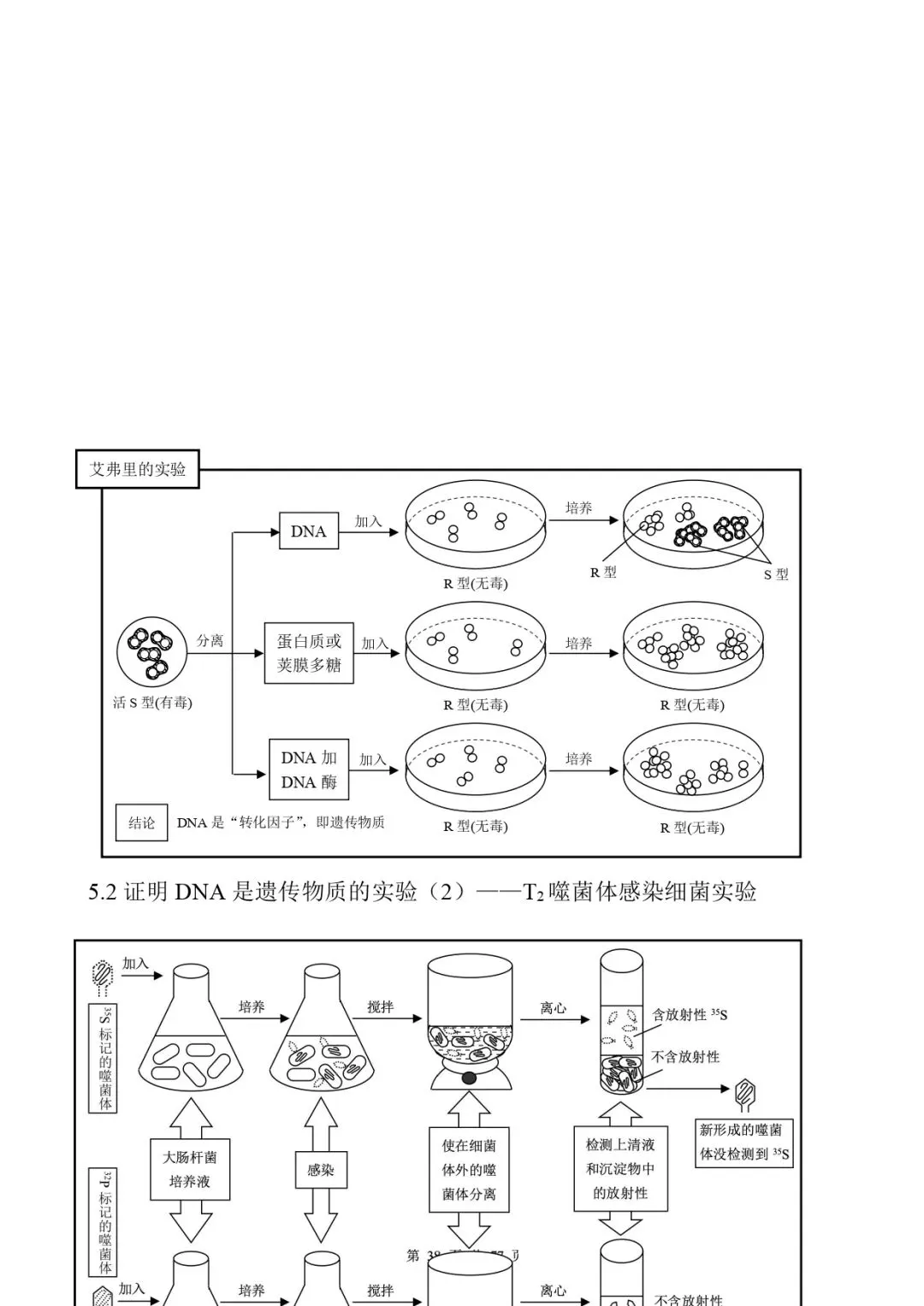 高考生物 | 知识点归纳汇总-第45张图片-四季读书网
