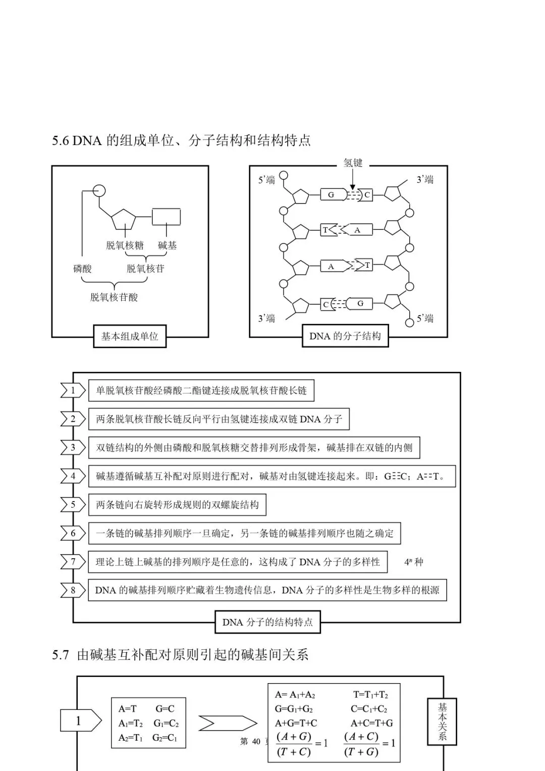 高考生物 | 知识点归纳汇总-第47张图片-四季读书网