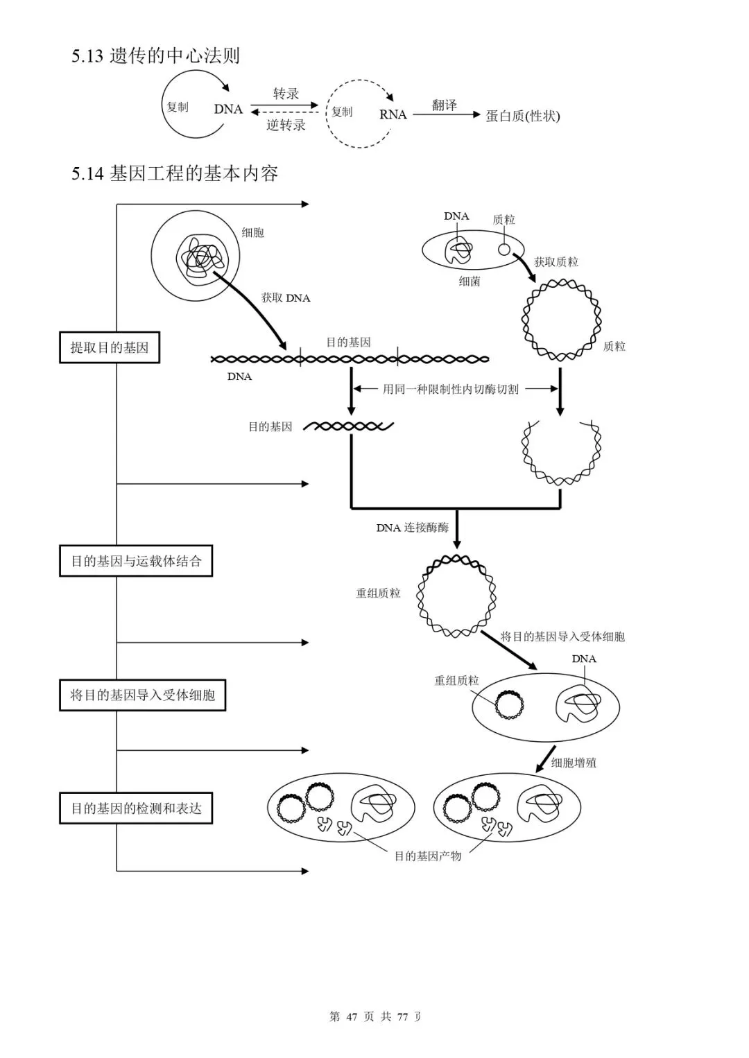高考生物 | 知识点归纳汇总-第54张图片-四季读书网