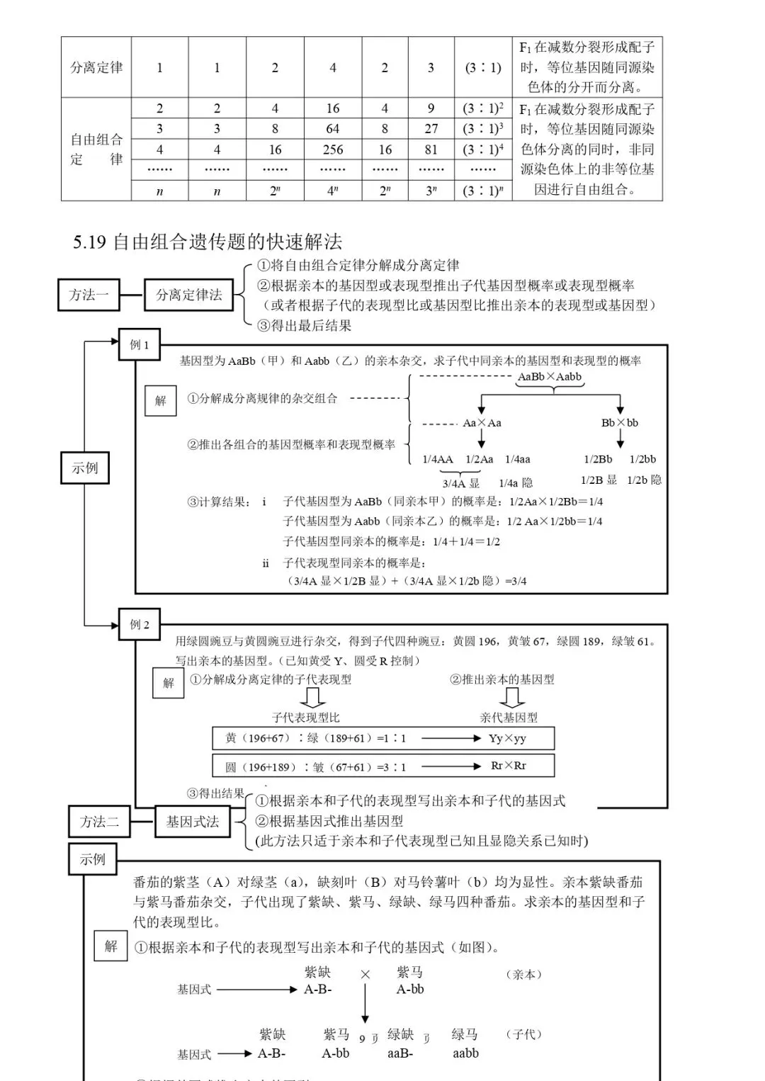 高考生物 | 知识点归纳汇总-第56张图片-四季读书网