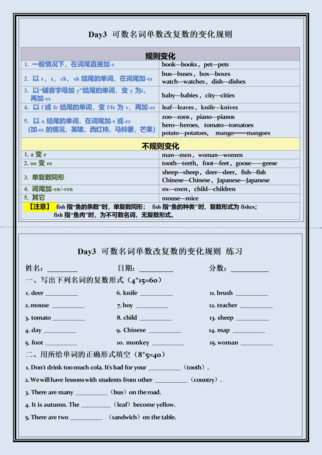 【初一】新版七年级上册英语全册核心语法知识点每日一练空白版,完整版可打印(2026)-第3张图片-四季读书网 【初一】新版七年级上册英语全册核心语法知识点每日一练空白版,完整版可打印(2026)-第3张图片-四季读书网