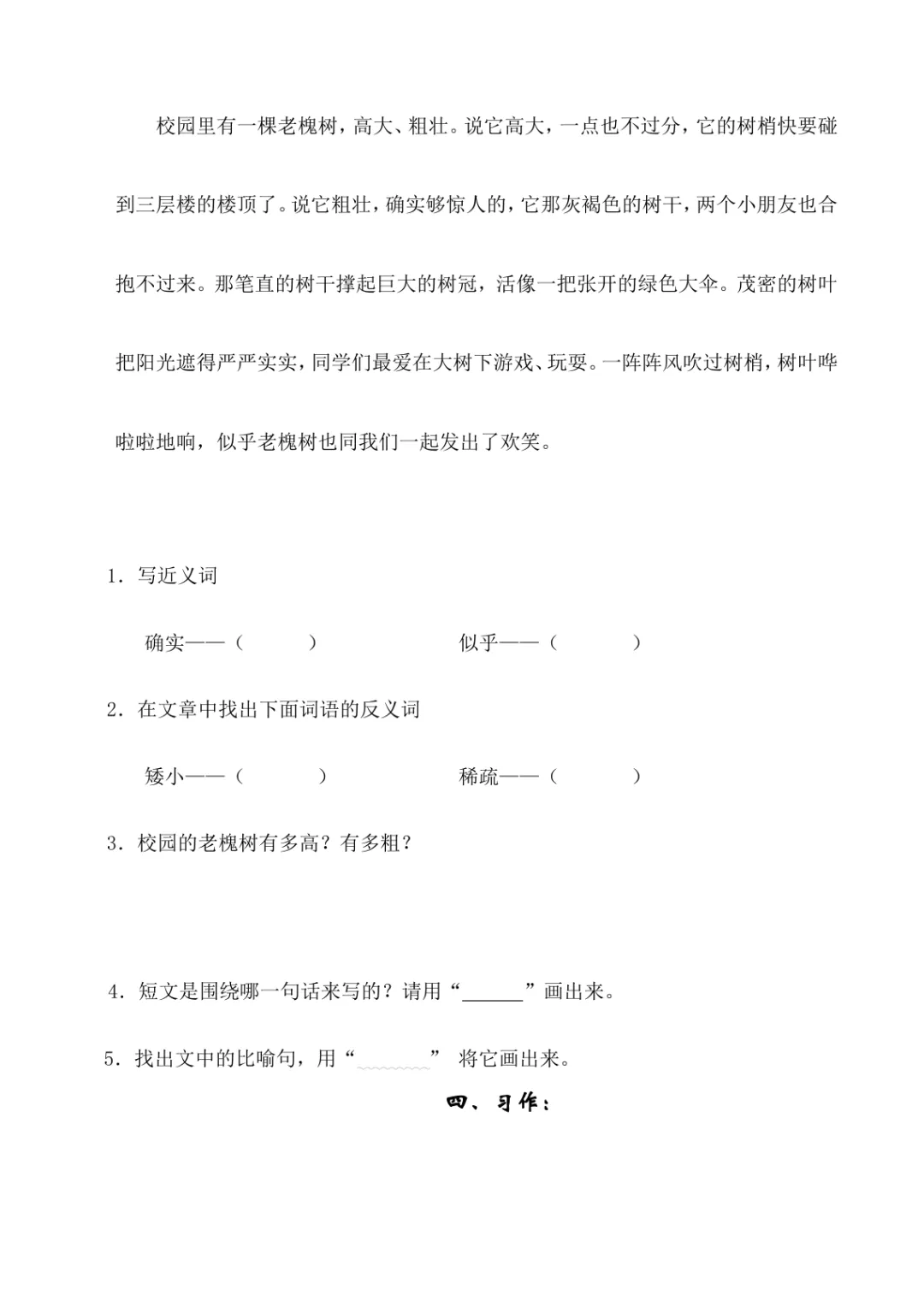 小学三年级语文苏教版期中试卷及答案-第3张图片-四季读书网