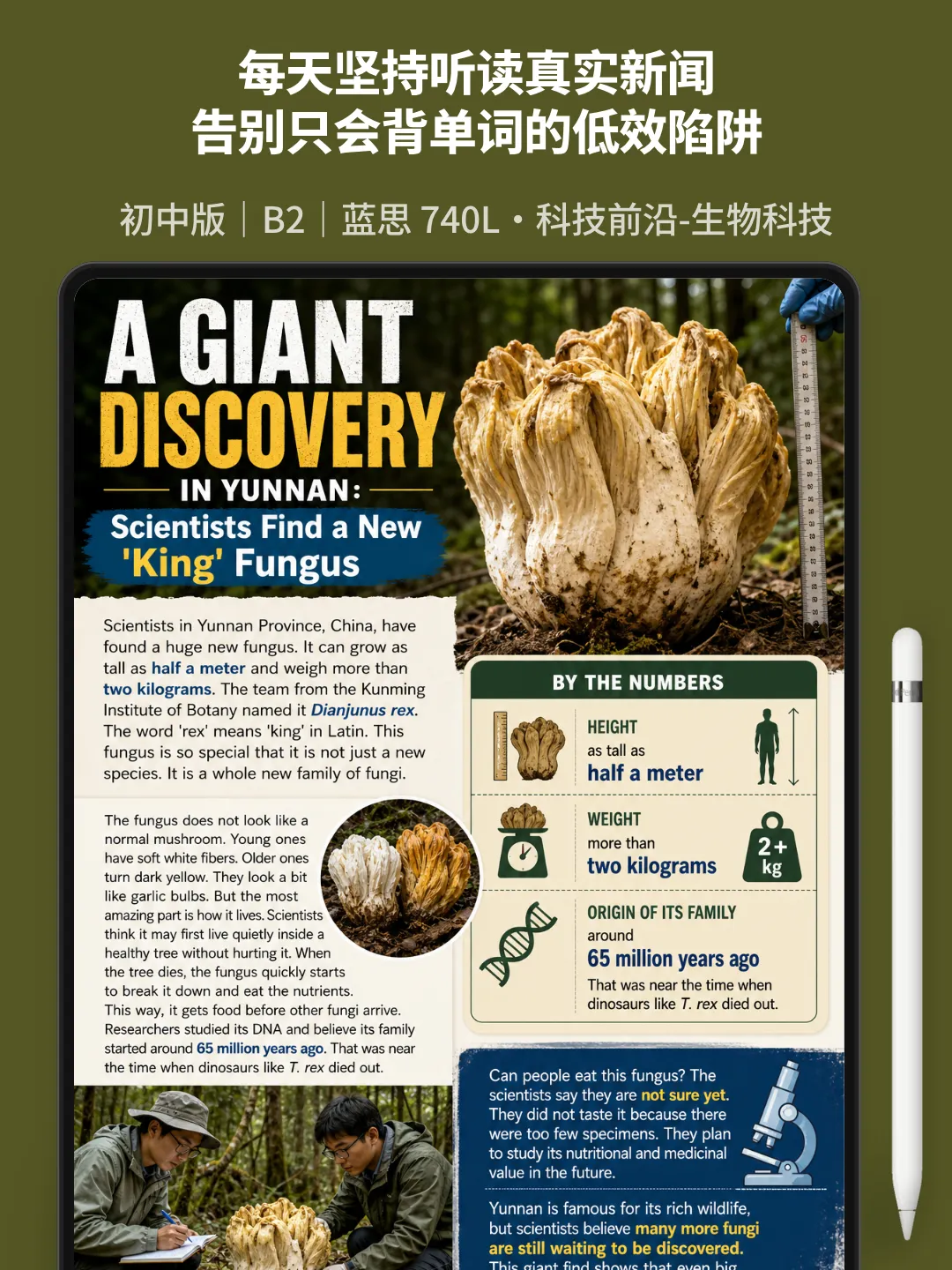 60篇时文搞定中考2000个单词·云南巨型新真菌发现,初中课标词在科技新闻里活学活用-第2张图片-四季读书网 60篇时文搞定中考2000个单词·云南巨型新真菌发现,初中课标词在科技新闻里活学活用-第2张图片-四季读书网