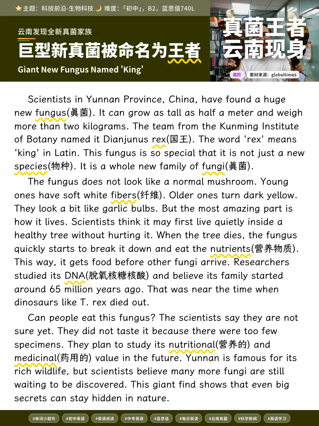 60篇时文搞定中考2000个单词·云南巨型新真菌发现,初中课标词在科技新闻里活学活用-第8张图片-四季读书网 60篇时文搞定中考2000个单词·云南巨型新真菌发现,初中课标词在科技新闻里活学活用-第8张图片-四季读书网