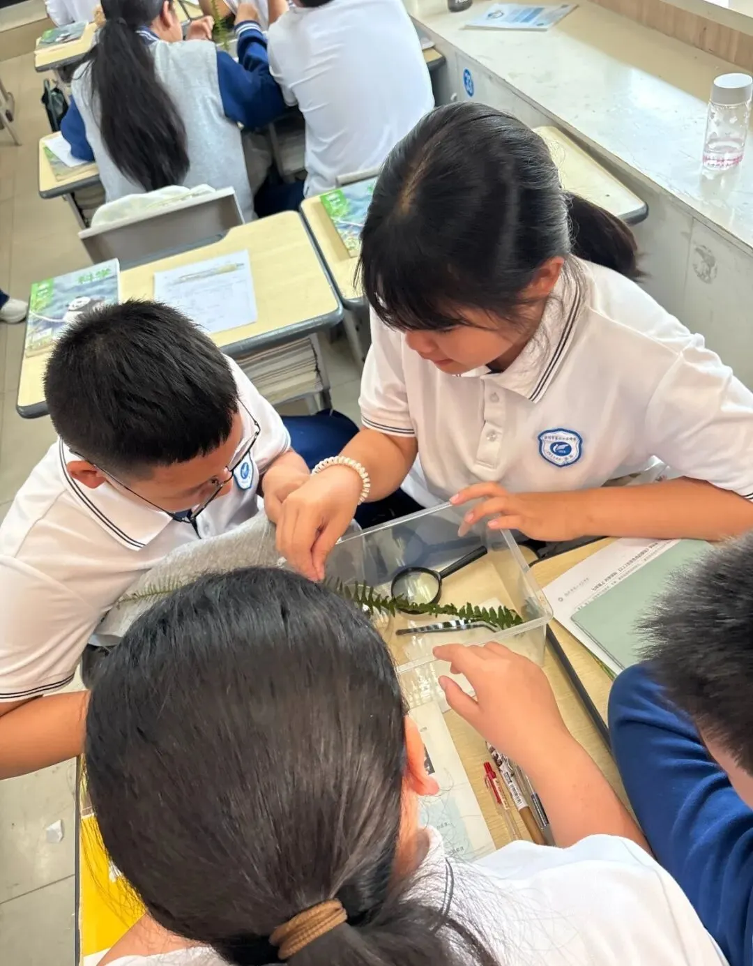 君峰·力行|对症施策定方略 多科共研战中考——区教育研究院莅临我校开展多学科教学调研指导-第22张图片-四季读书网 君峰·力行|对症施策定方略 多科共研战中考——区教育研究院莅临我校开展多学科教学调研指导-第22张图片-四季读书网