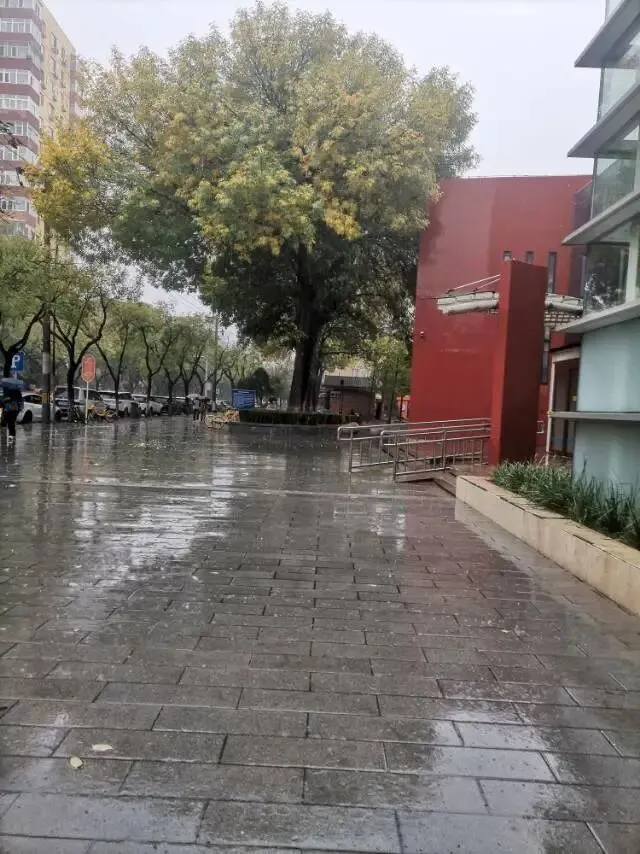 初三这一年(20261017):周末赶上了下雨-第1张图片-四季读书网