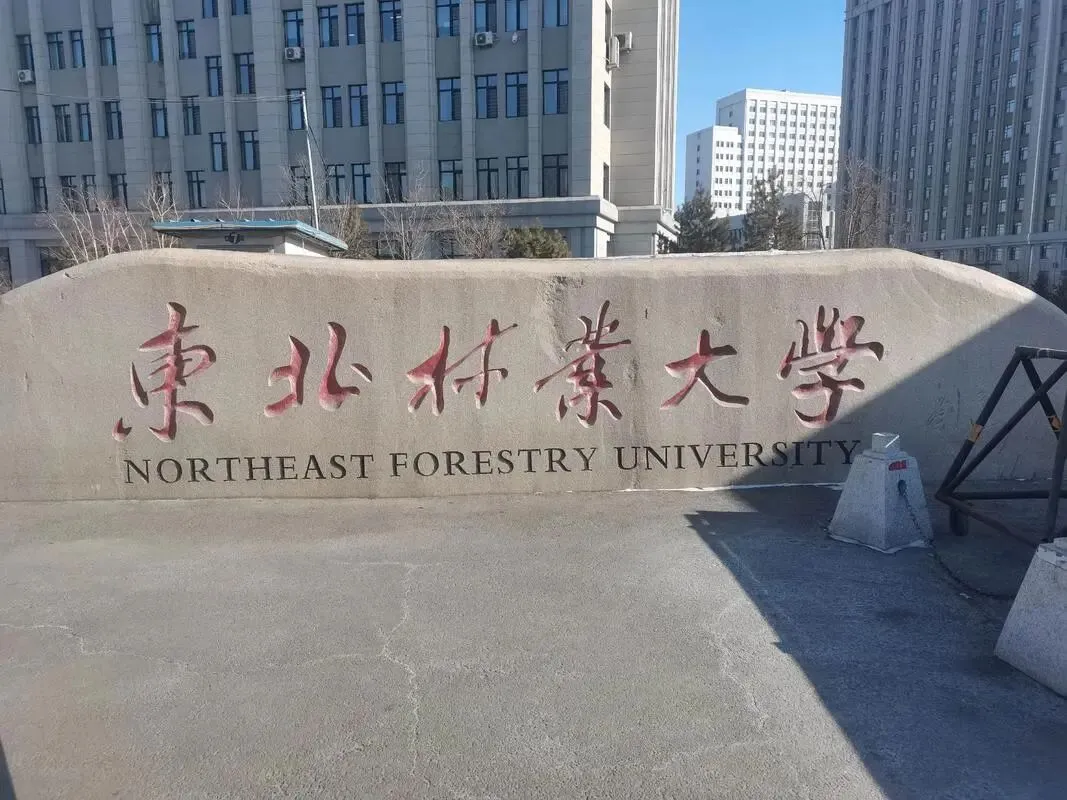东北林业大学2026年—2024年高考山西省专业录取分-第2张图片-四季读书网 东北林业大学2026年—2024年高考山西省专业录取分-第2张图片-四季读书网