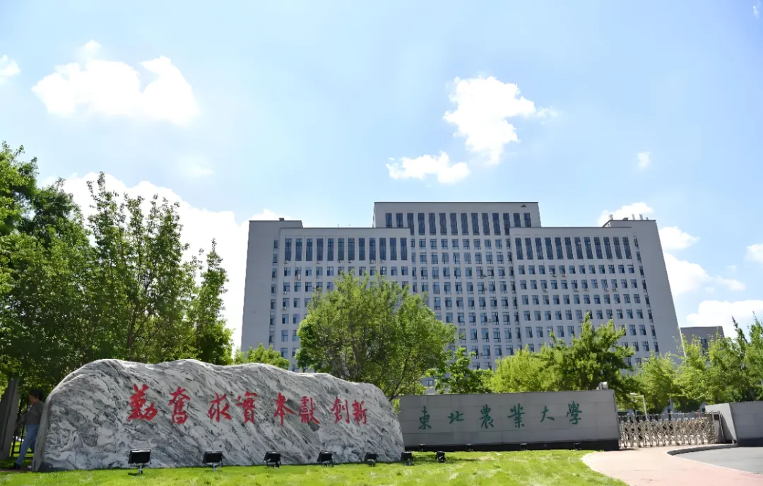 东北农业大学2026年—2024年高考山西省专业录取分-第3张图片-四季读书网
