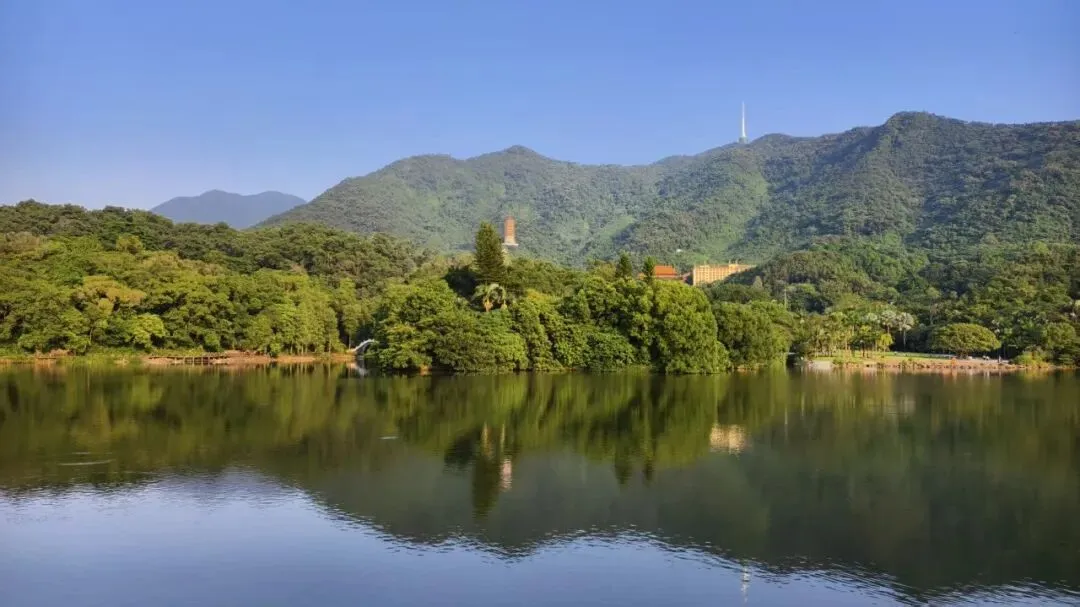 2026年上海市徐汇区初三语文上学期10月月考试卷(暂无答案)-第1张图片-四季读书网 2026年上海市徐汇区初三语文上学期10月月考试卷(暂无答案)-第1张图片-四季读书网