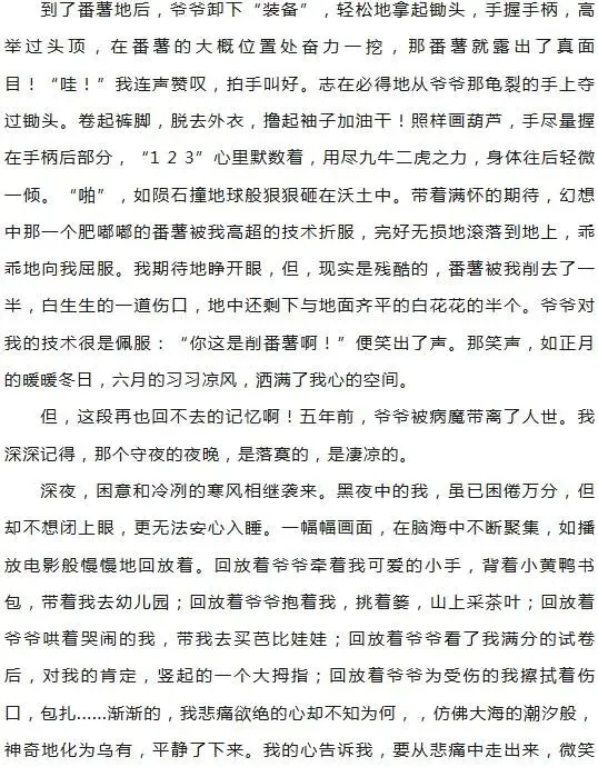 【作文家园】中考考场满分作文:有你,真的很幸福-第8张图片-四季读书网 【作文家园】中考考场满分作文:有你,真的很幸福-第8张图片-四季读书网