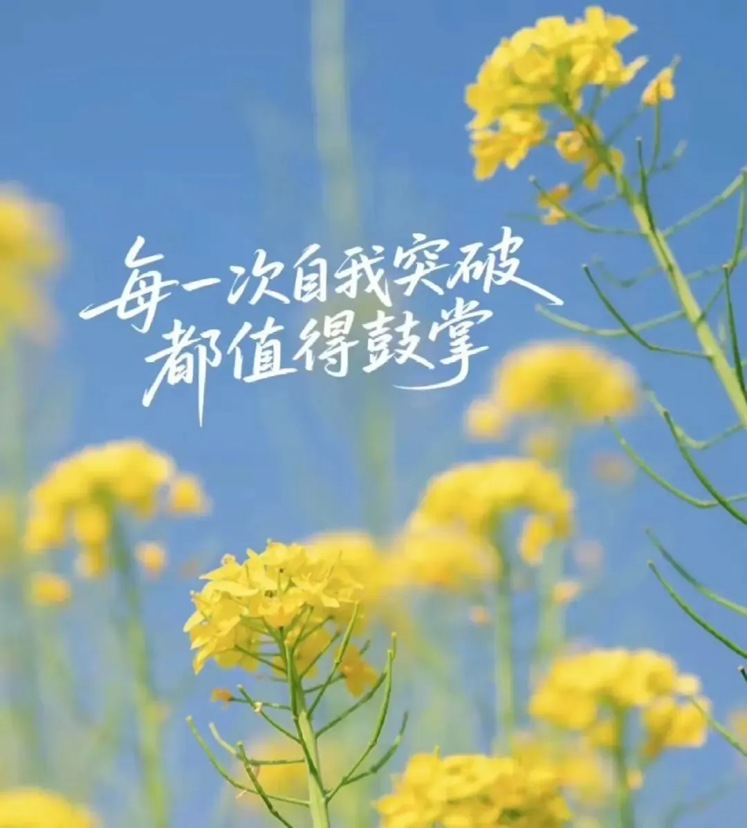 2025北京初三上期中真题范文|《这一次,没有标准答案》-第3张图片-四季读书网 2025北京初三上期中真题范文|《这一次,没有标准答案》-第3张图片-四季读书网
