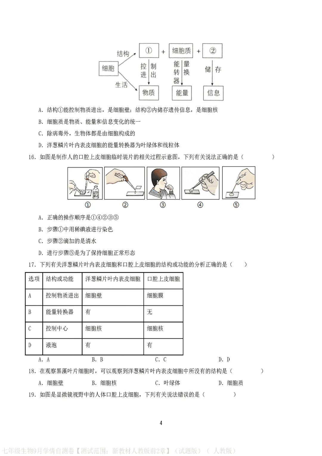 【试卷】2026-2027学年人教版七年级上学期生物第一次月考试卷(含答案解析)-第4张图片-四季读书网 【试卷】2026-2027学年人教版七年级上学期生物第一次月考试卷(含答案解析)-第4张图片-四季读书网
