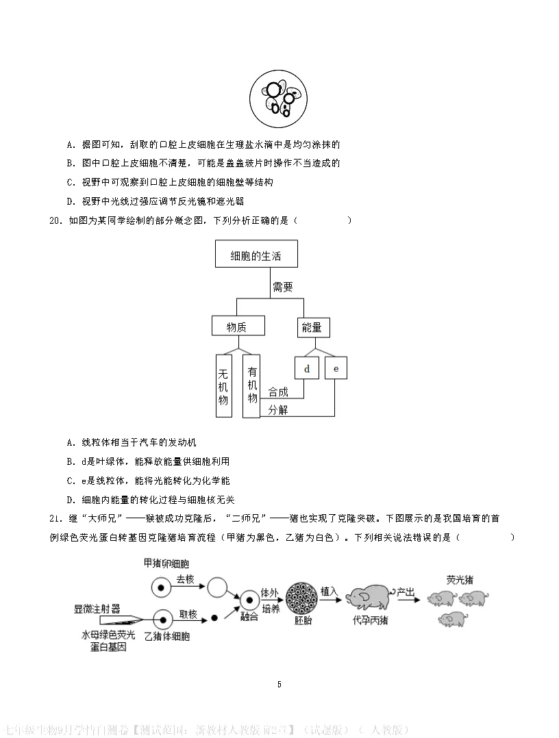 【试卷】2026-2027学年人教版七年级上学期生物第一次月考试卷(含答案解析)-第5张图片-四季读书网 【试卷】2026-2027学年人教版七年级上学期生物第一次月考试卷(含答案解析)-第5张图片-四季读书网